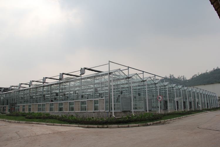 Glass Greenhouse Project