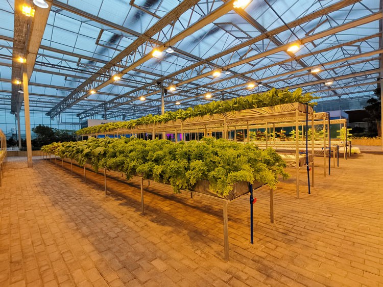 a greenhouse with glass a greenhouse with glass
