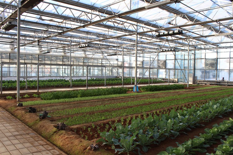 The scientific method of ventilating air in greenhouse