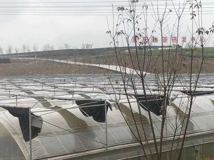 What time of year is the best time to build a greenhouse What time of year is the best time to build a greenhouse