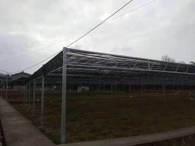 What factors affect the structure of the electroplating layer of the seedbed net What factors affect the structure of the electroplating layer of the seedbed net