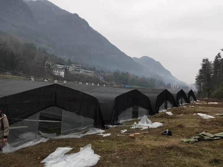 Greenhouse engineering is a greenhouse with glass as the main light-transmitting covering material Greenhouse engineering is a greenhouse with glass as the main light-transmitting covering material