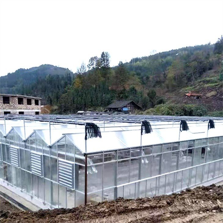agricultural venlo type glass greenhouse manufacture