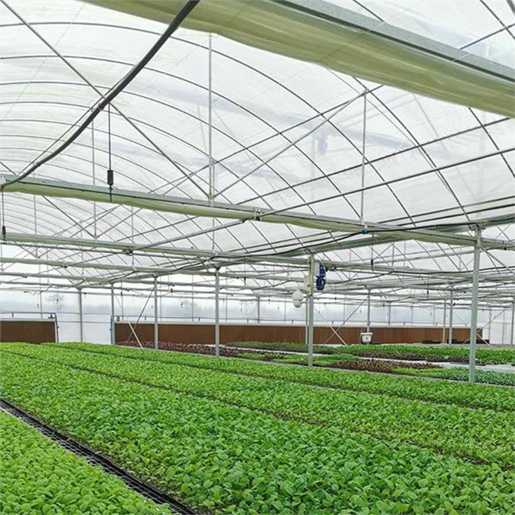 6 mil greenhouse plastic manufacture