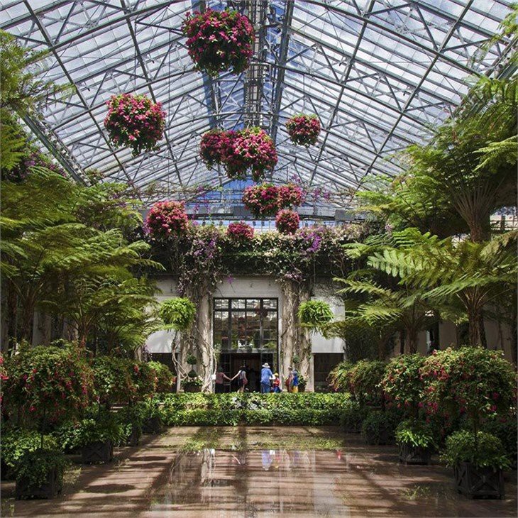 garden greenhouse stores china