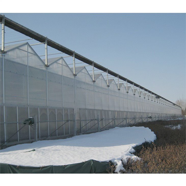 small greenhouse garden made in China