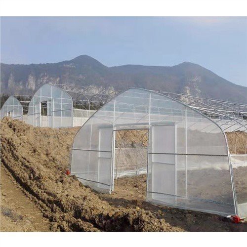 40x100 staklenik plastika