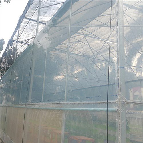 6 mil Clear plastične ploče za stakleniku