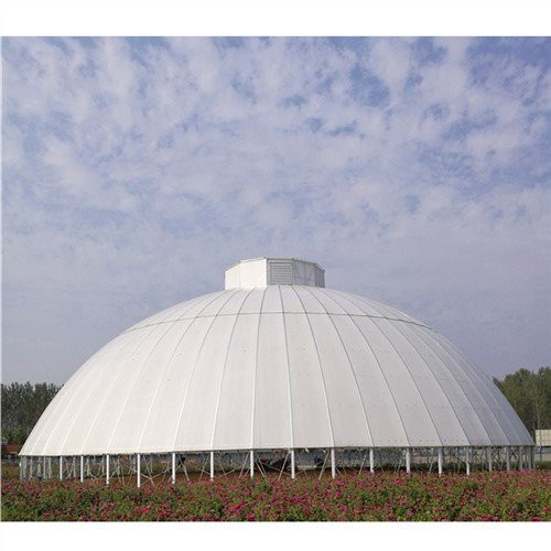 Viktorijanska geodetska kupola Poljoprivreda Greenhouse